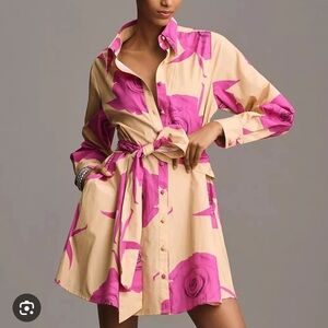 Hutch Pink and Tan Long Sleeve Dress